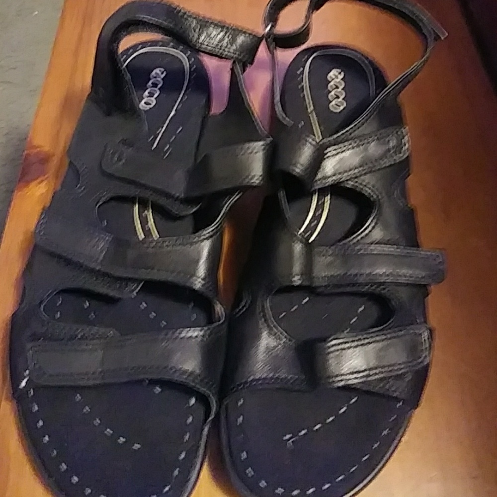 Ecco scandals!!